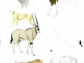 Animal_doodles_by_jackal_god.jpg
